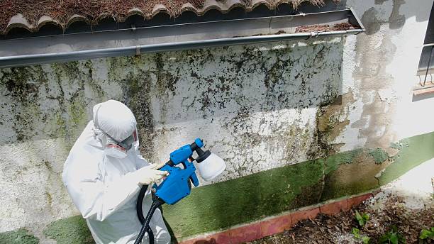 Top rated local Attic Mold Removal specialists in Hillsdale, NJ